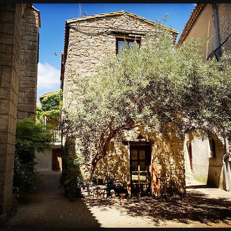 B&B Vigne Vierge Aigne  Exterior photo